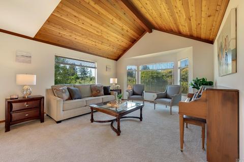 2207 Schaeffer Rd, Sebastopol, CA 95472 photo 8