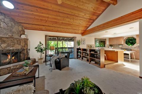 2207 Schaeffer Rd, Sebastopol, CA 95472 photo 10