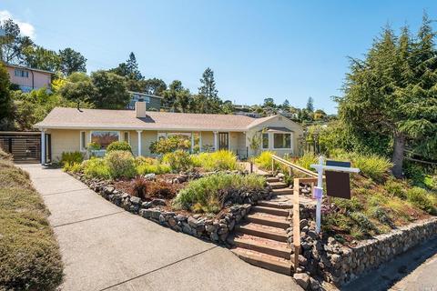 202 E Strawberry Dr, Mill Valley, CA 94941 photo 38