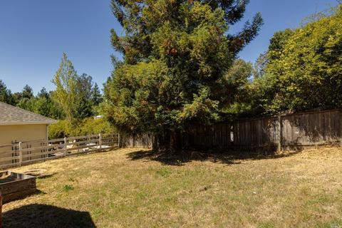 360 Adobe Rd, Penngrove, CA 94951 photo 60