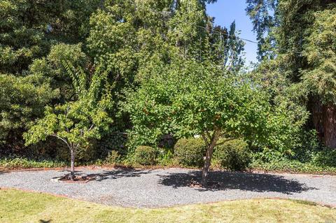 304 Ricardo Rd, Mill Valley, CA 94941 photo 42