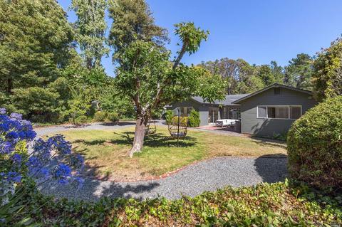 304 Ricardo Rd, Mill Valley, CA 94941 photo 41