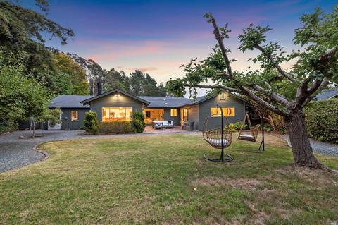304 Ricardo Rd, Mill Valley, CA 94941 photo 46