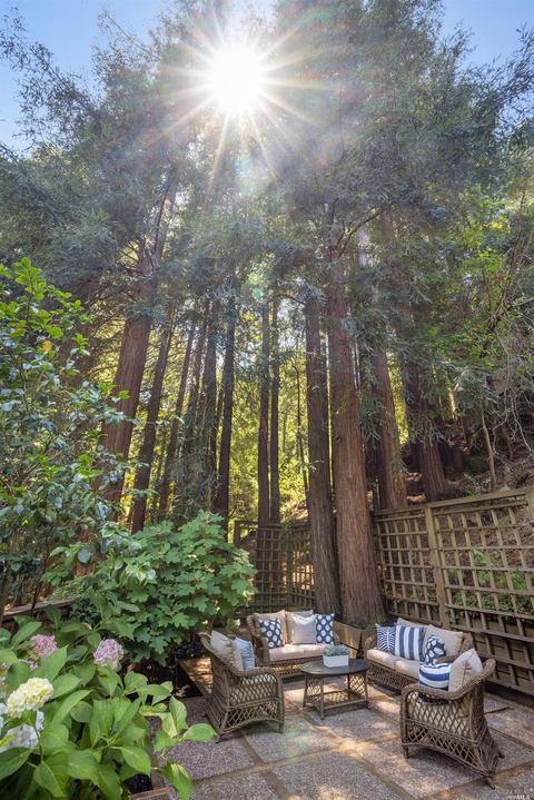 37 Rowan Way, Mill Valley, CA 94941 photo 63
