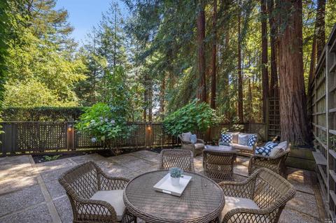 37 Rowan Way, Mill Valley, CA 94941 photo 60