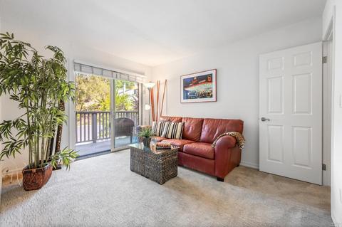 6 Eagle Gap Rd, Novato, CA 94949 photo 19