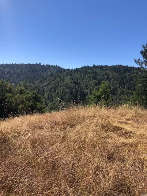 30050 Seaview Rd, Cazadero, CA 95421
