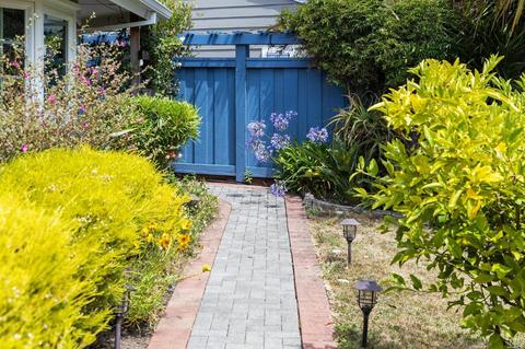 326 Starling Rd, Mill Valley, CA 94941 photo 58