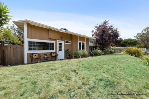 326 Starling Rd, Mill Valley, CA 94941 photo 53