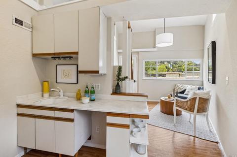326 Starling Rd, Mill Valley, CA 94941 photo 32