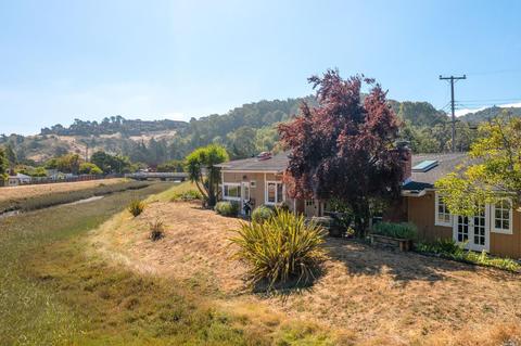 326 Starling Rd, Mill Valley, CA 94941 photo 67