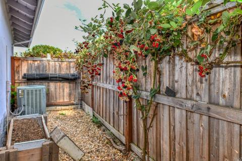 729 Tobin Dr, Vallejo, CA 94589 photo 23