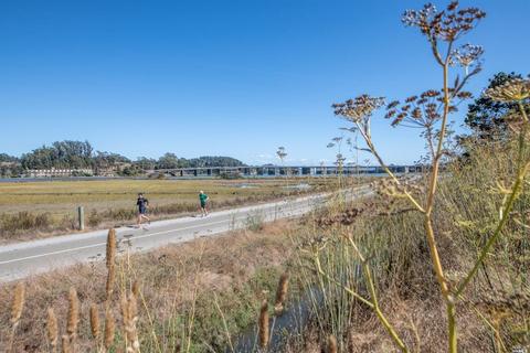 558 Alta Way, Mill Valley, CA 94941 photo 39