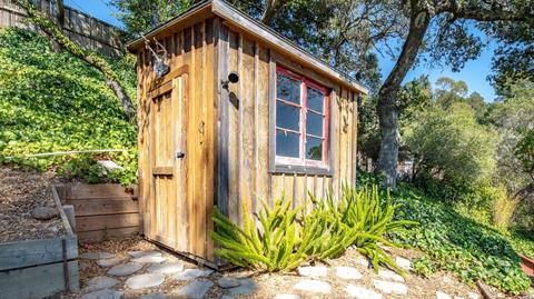313 Eldridge Ave, Mill Valley, CA 94941 photo 39
