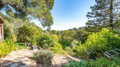 313 Eldridge Ave, Mill Valley, CA 94941 photo 32