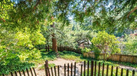 313 Eldridge Ave, Mill Valley, CA 94941 photo 35