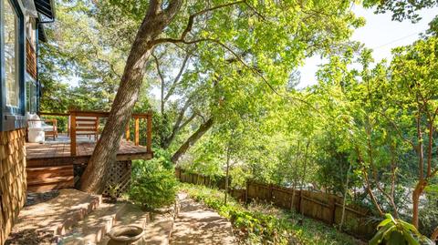 313 Eldridge Ave, Mill Valley, CA 94941 photo 28