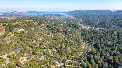 313 Eldridge Ave, Mill Valley, CA 94941 photo 42