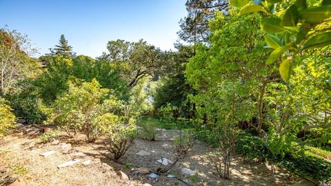 313 Eldridge Ave, Mill Valley, CA 94941 photo 36