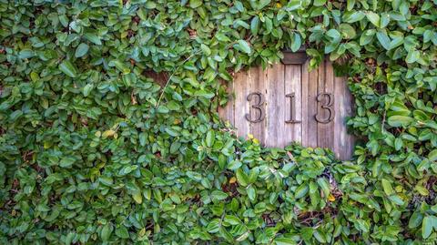 313 Eldridge Ave, Mill Valley, CA 94941 photo 2