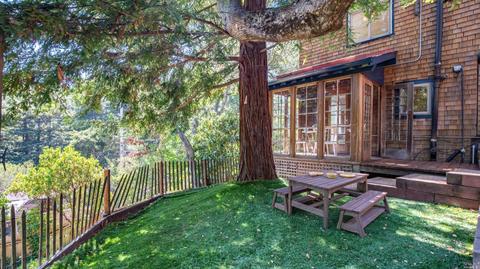 313 Eldridge Ave, Mill Valley, CA 94941 photo 34