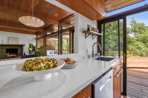 36 Pimlott Ln, Mill Valley, CA 94941 photo 16