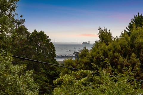 36 Pimlott Ln, Mill Valley, CA 94941 photo 43
