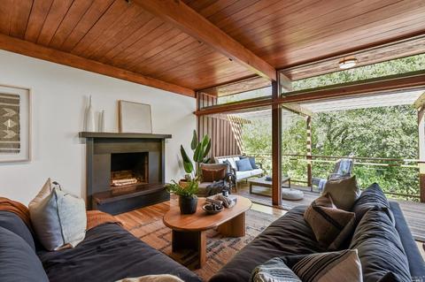 36 Pimlott Ln, Mill Valley, CA 94941 photo 9