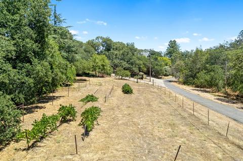 275 Luring Pines Dr, Angwin, CA 94508 photo 63