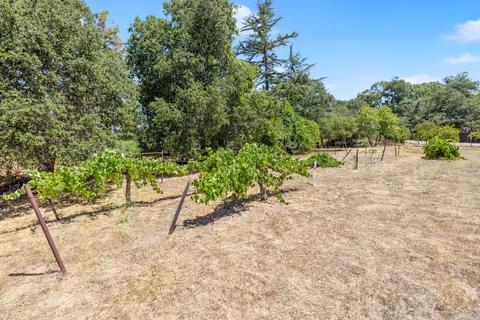 275 Luring Pines Dr, Angwin, CA 94508 photo 64