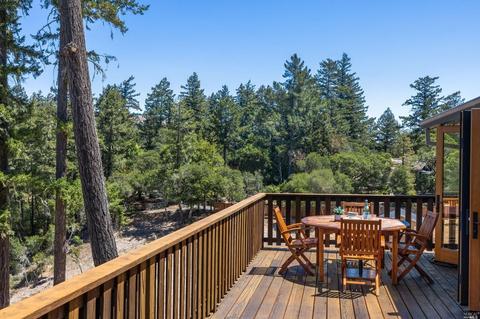 40 Tamarack Rd, San Geronimo, CA 94963 photo 22