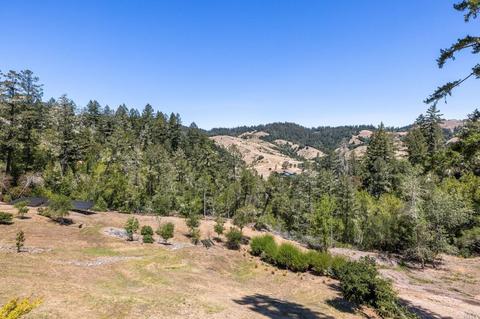 40 Tamarack Rd, San Geronimo, CA 94963 photo 21