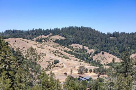 40 Tamarack Rd, San Geronimo, CA 94963 photo 20