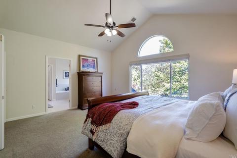 1068 Elsbree Ln, Windsor, CA 95492 photo 28