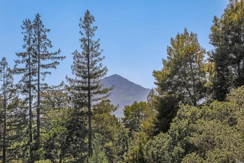 1 Pomeroy Rd, Ross, CA 94957 photo 70