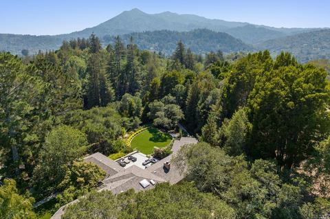 1 Pomeroy Rd, Ross, CA 94957 photo 1