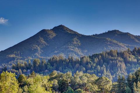 128 Winding Way, Ross, CA 94957 photo 97