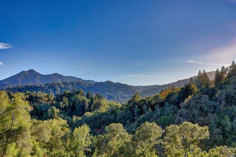 128 Winding Way, Ross, CA 94957 photo 96