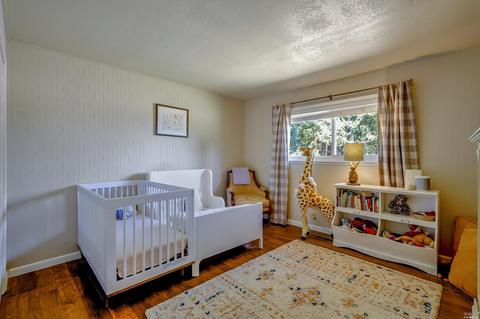 1395 Schaeffer Rd, Sebastopol, CA 95472 photo 25