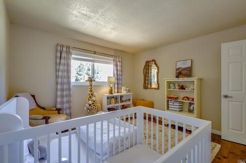 1395 Schaeffer Rd, Sebastopol, CA 95472 photo 26