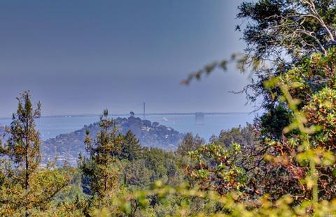 173 Summit Dr, Corte Madera, CA 94925 photo 62