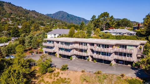 113 Pixley Ave, Corte Madera, CA 94925 photo 32