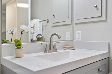 113 Pixley Ave, Corte Madera, CA 94925 photo 19