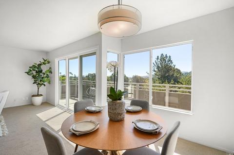 113 Pixley Ave, Corte Madera, CA 94925 photo 4