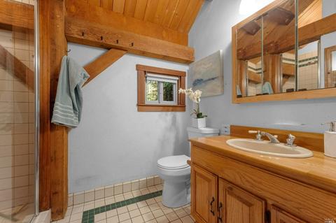 2351 Joy Rd, Occidental, CA 95465 photo 49
