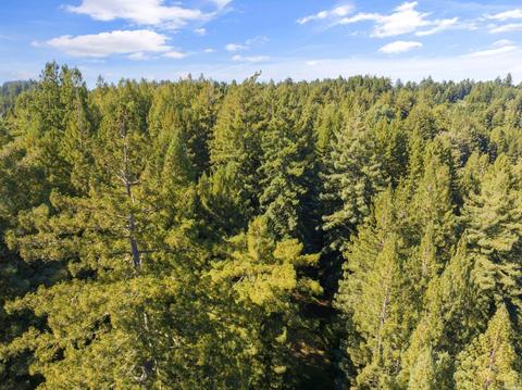 2351 Joy Rd, Occidental, CA 95465 photo 70