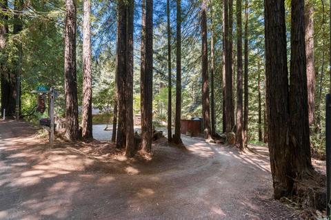 2351 Joy Rd, Occidental, CA 95465 photo 9