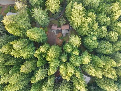 2351 Joy Rd, Occidental, CA 95465 photo 79