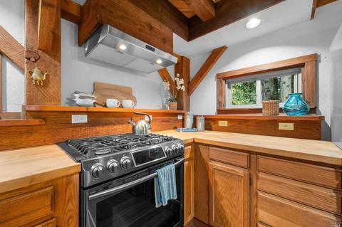 2351 Joy Rd, Occidental, CA 95465 photo 44