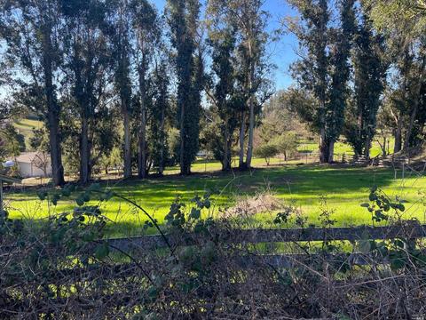 901 W Railroad Ave, Cotati, CA 94931 photo 8